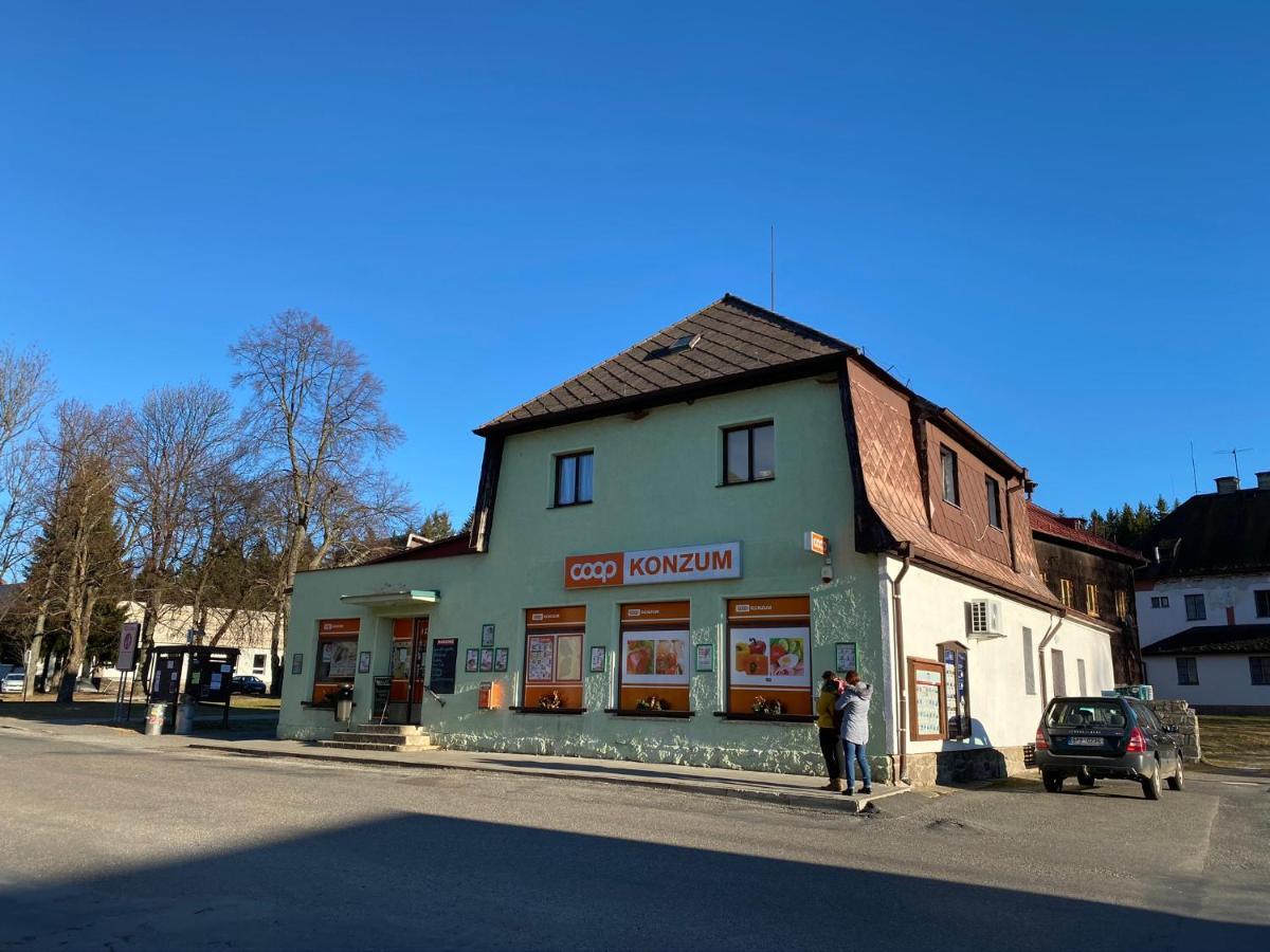 Apartman U Lesa, Srni 119 Exterior photo
